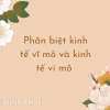 Phân biệt kinh tế học vi mô và vĩ mô: Chìa khóa hiểu rõ nền kinh tế
