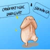 Phân biệt sùi mào gà và chuỗi hạt ngọc dương vật