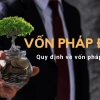 Phân biệt Vốn Điều Lệ và Vốn Pháp Định: Hướng dẫn chi tiết 2026