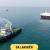 Sà LAN LÀ GÌ? TÌM HIỂU CẤU TẠO VÀ CÔNG DỤNG CHI TIẾT