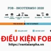So sánh FOB và CIF: Hiểu rõ điều kiện giao hàng trong thương mại quốc tế