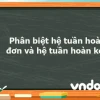 So sánh hệ tuần hoàn hở và hệ tuần hoàn kín: Đặc điểm và vai trò