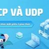 So sánh TCP và UDP: Khác biệt và ứng dụng