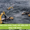 Tác hại của dầu mỏ đối với môi trường và sinh vật