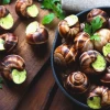 Tác hại của ốc sên: Những điều cần biết để phòng tránh