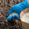 Tác hại của phân bón hóa học: Ảnh hưởng khôn lường đến sức khỏe và môi trường
