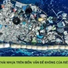 Tác hại của rác thải nhựa đối với môi trường biển hiện nay