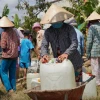 Tác hại của xâm nhập mặn và giải pháp ứng phó hiệu quả