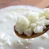 Tác hại tiềm ẩn của nấm kefir và những lưu ý khi sử dụng
