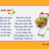 Thơ Đồng Dao Về Các Loại Quả Ngọt Ngào Cho Bé