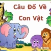 Tổng hợp câu đố vui về các con vật cho bé 6 tuổi