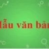 Tổng hợp những câu đố vui và hài hước có đáp án