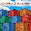 Transit là gì? Giải mã thuật ngữ và những lưu ý quan trọng