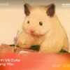 Tuyển tập những hình vẽ cute đơn giản và cách thực hiện