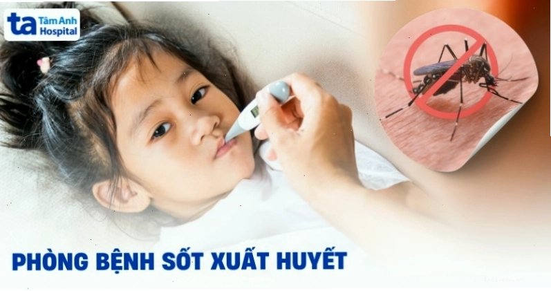 9 cách phòng bệnh sốt xuất huyết có thể áp dụng tại nhà hiệu quả