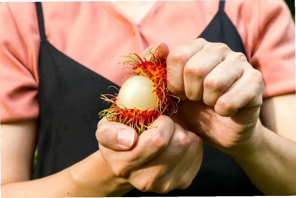 Ảnh minh họa chôm chôm tươi ngon