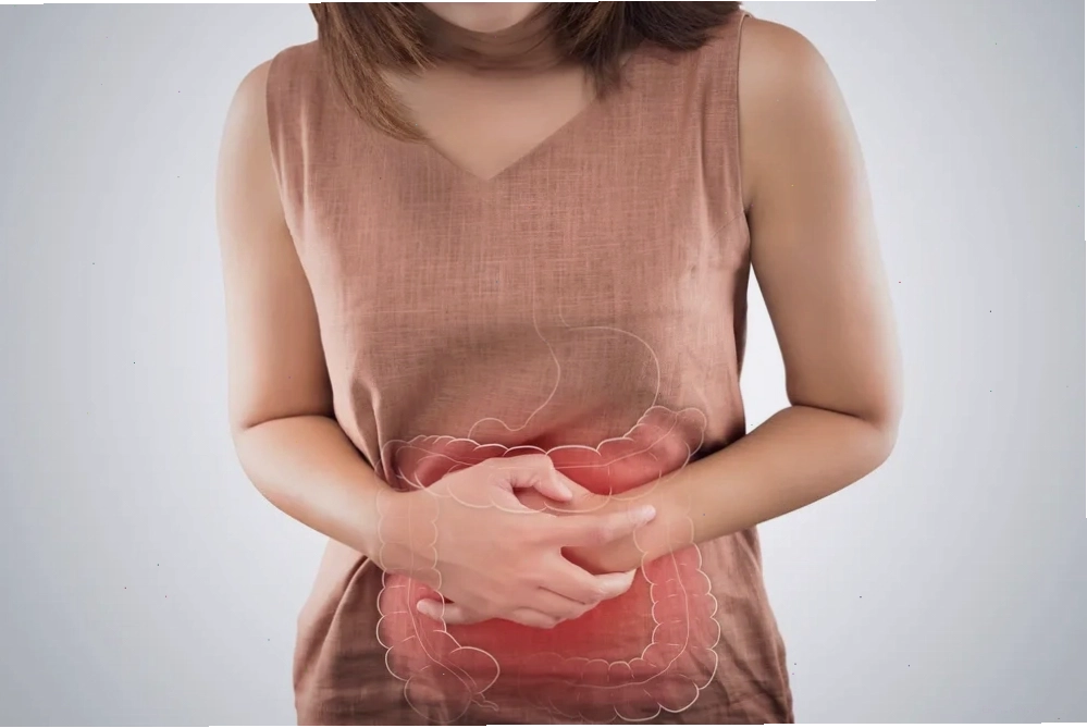 Ảnh minh họa về hệ tiêu hóa