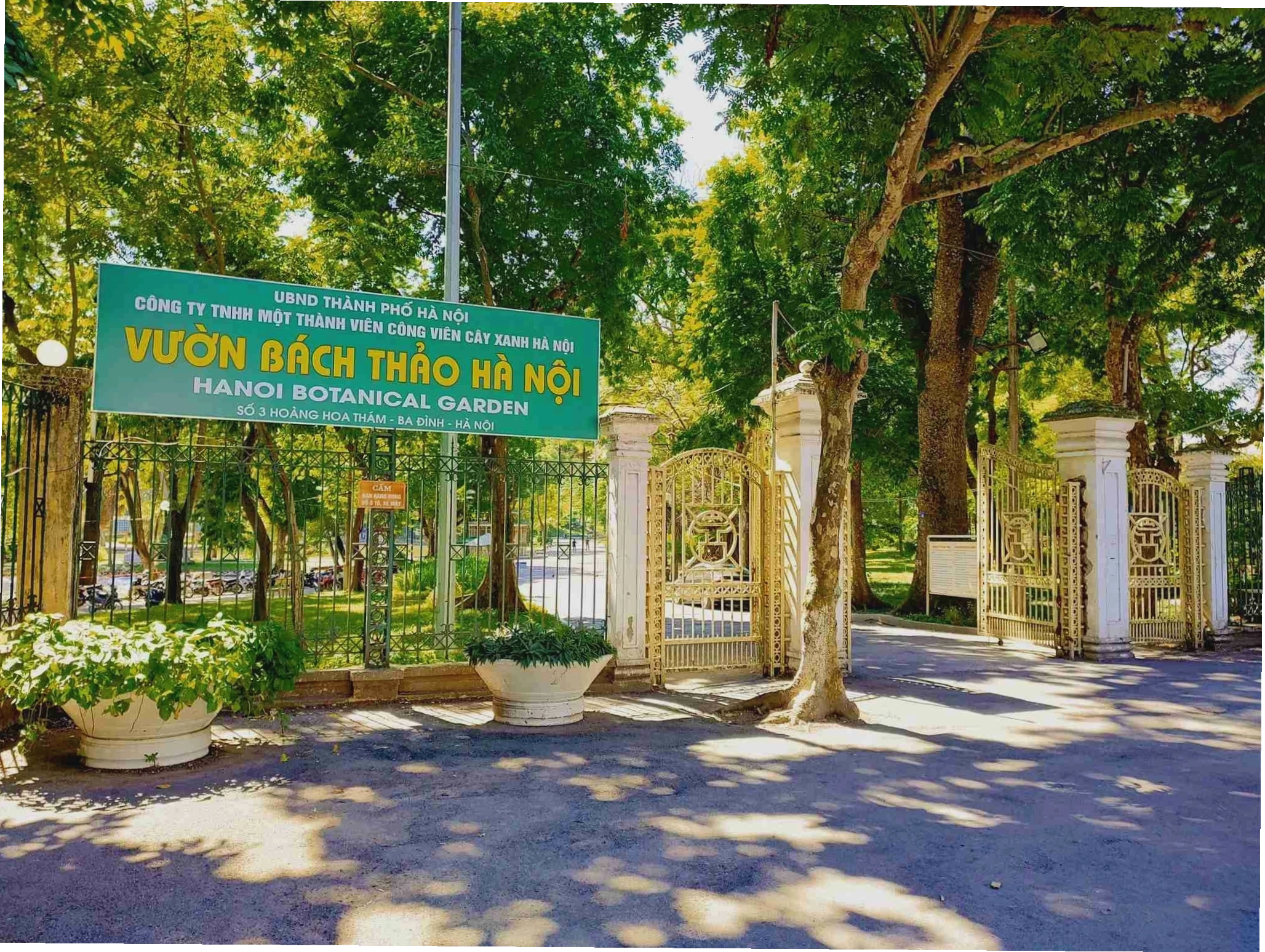 Ba mẹ cho bé vui chơi tại Vườn Bách Thảo Hà Nội trong không gian xanh mát
