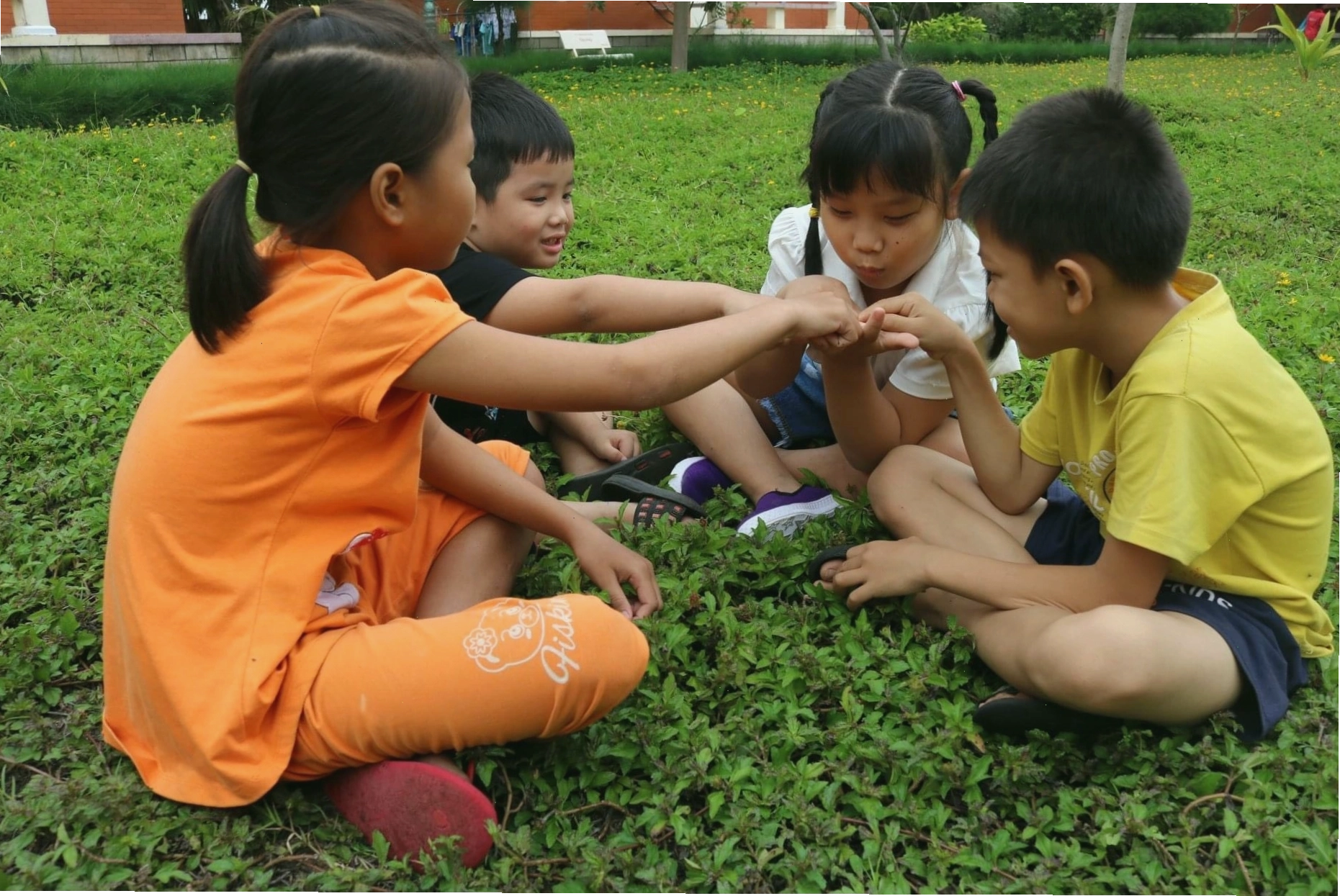 Bài đồng dao Con mèo mà trèo cây cau
