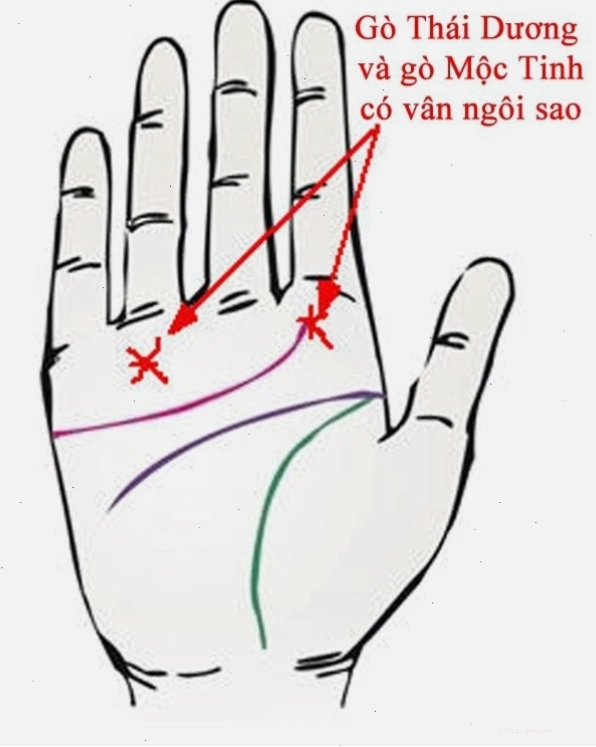 Bàn tay phụ nữ với những đường chỉ tay và dấu hiệu đặc biệt.