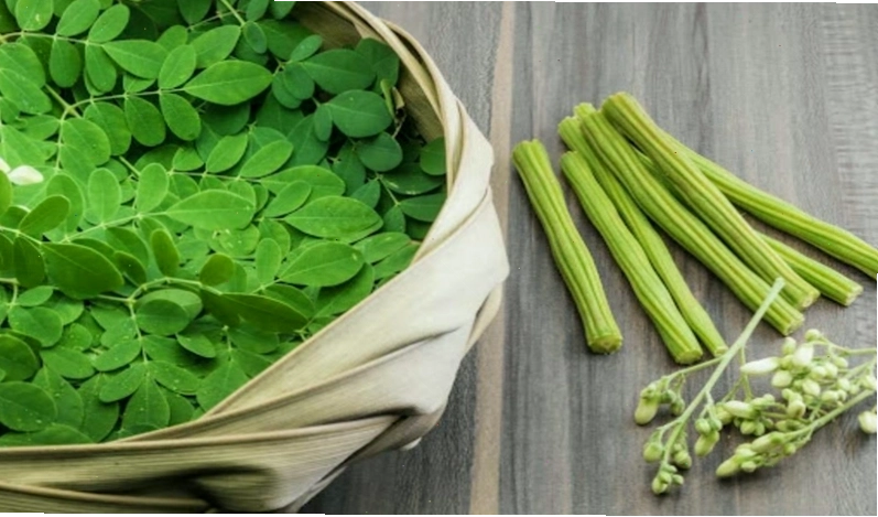 Biểu đồ minh họa các nhóm đối tượng cần thận trọng khi dùng chùm ngây