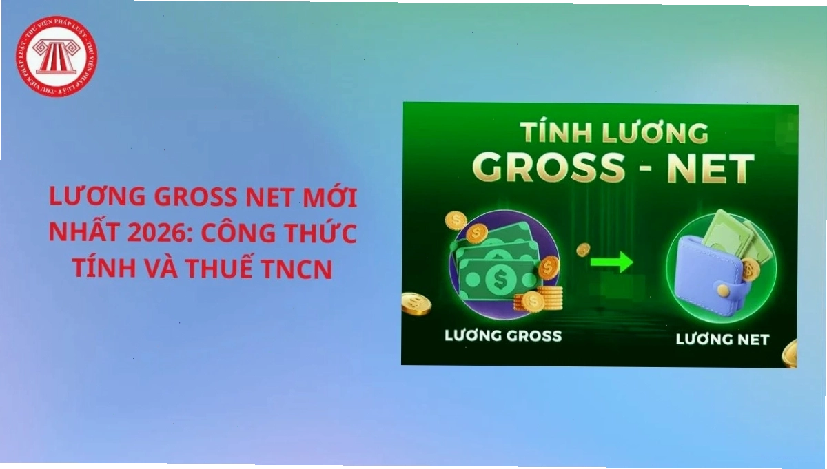 Biểu đồ minh họa công thức tính lương gross và lương net
