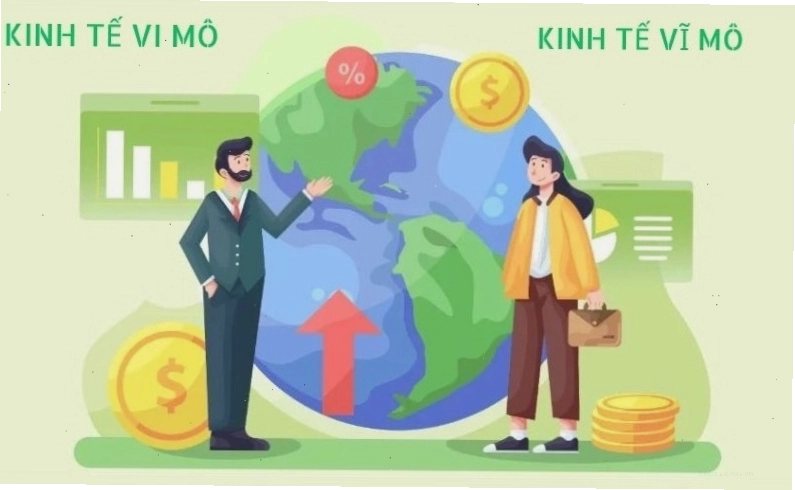 Biểu đồ minh họa sự khác biệt giữa kinh tế vi mô và vĩ mô