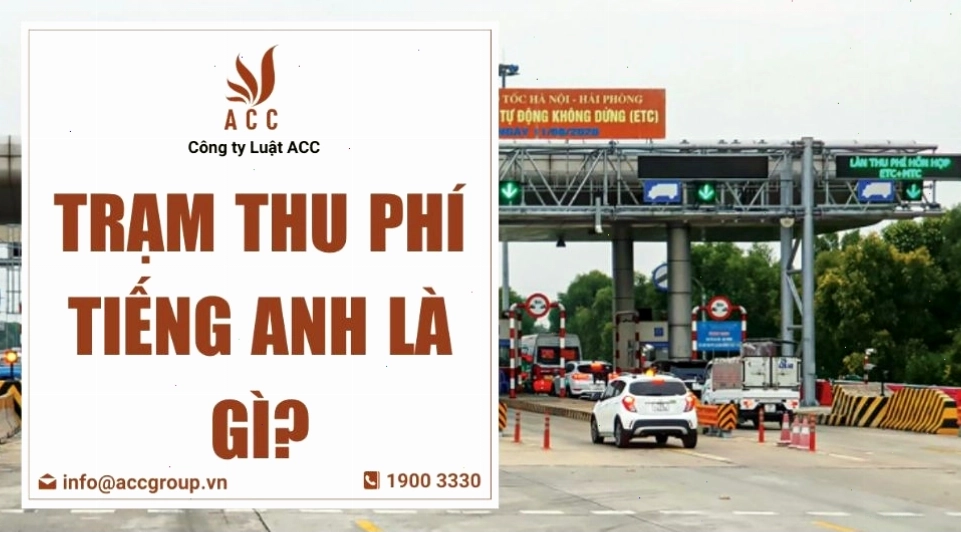 Biểu đồ phân biệt các loại phí trong tiếng Anh