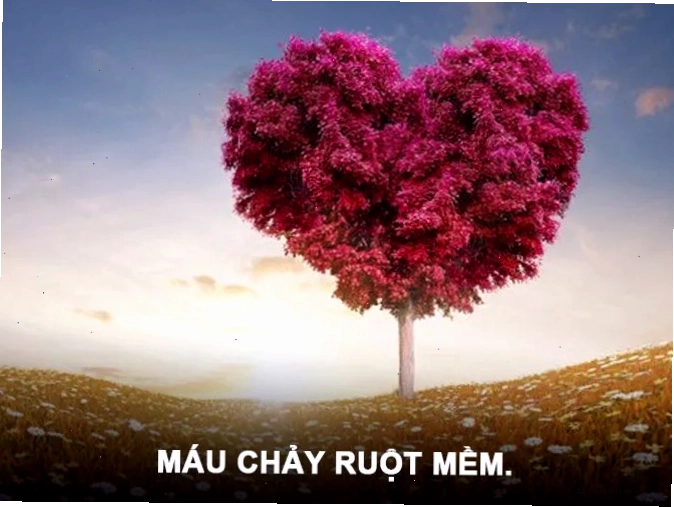 Biểu hiện của sự đồng cảm qua hành động
