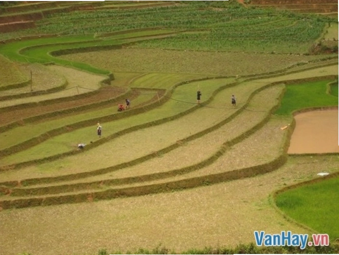 Biểu tượng tấc đất tấc vàng