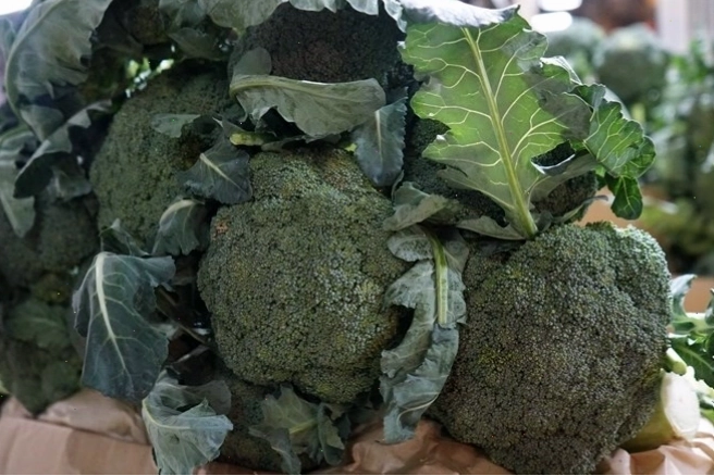 Bông cải xanh tươi ngon, giàu dinh dưỡng