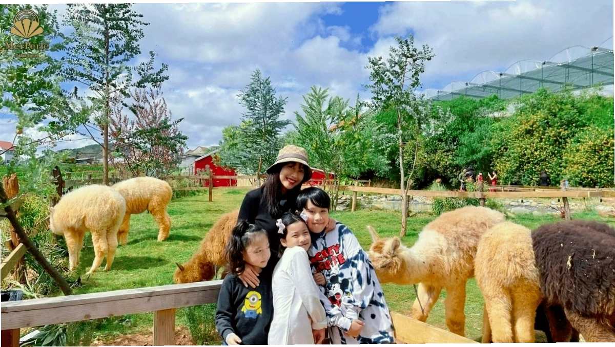 Bunny Hill Farm Homestay, khu vui chơi kết hợp nghỉ dưỡng