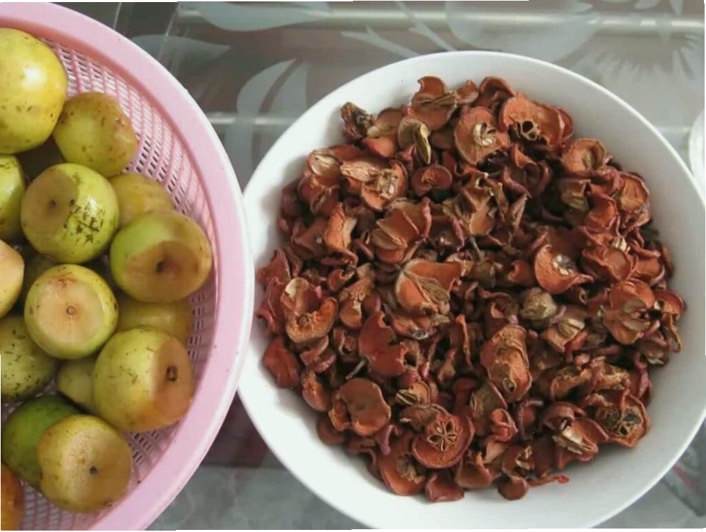 Các bài thuốc dân gian từ táo mèo