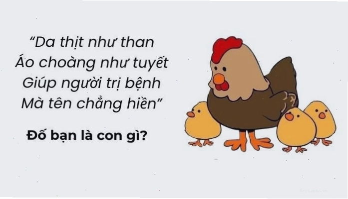 Các câu đố mẹo hack não giúp thử thách trí tuệ