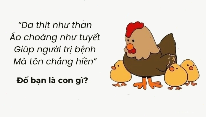 Các câu đố vui trí tuệ siêu hack não