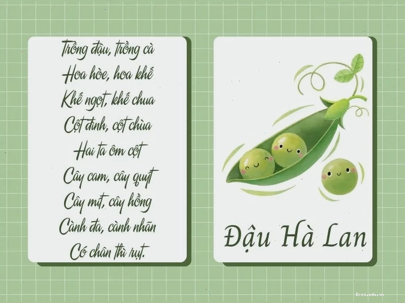 Các loại rau củ quả được sắp xếp gọn gàng