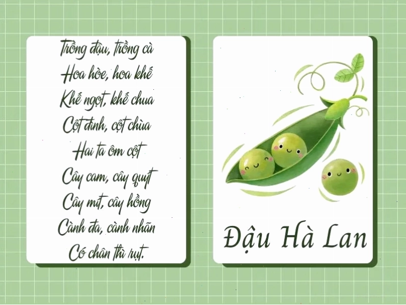 Các loại rau củ tươi ngon trong bài đồng dao