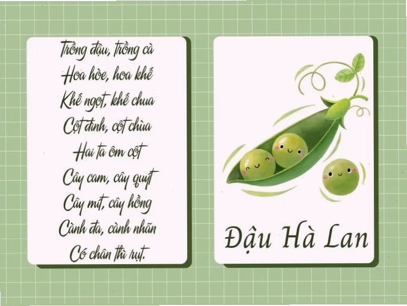 Các loại rau quen thuộc trong bài đồng dao