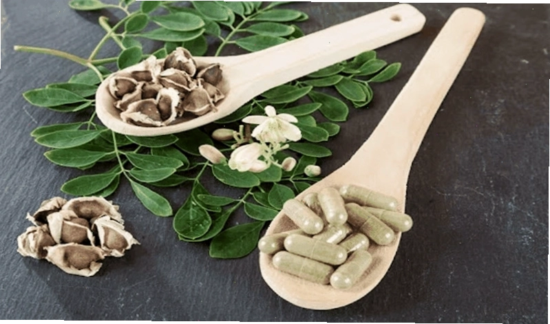 Các món ăn chế biến từ lá chùm ngây