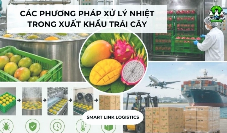 Các phương pháp xử lý nhiệt trong xuất khẩu trái cây