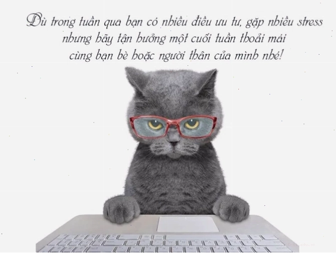 Cảnh đẹp thiên nhiên với con đường mòn dẫn vào rừng