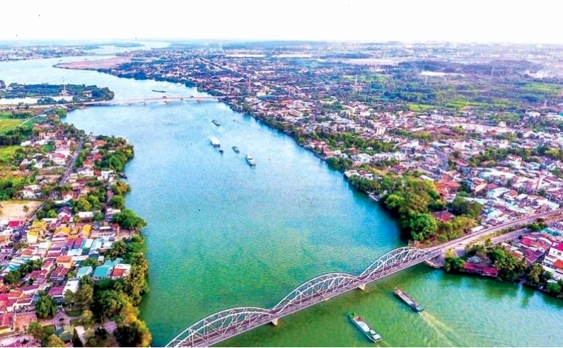 Cánh đồng lúa xanh mướt tại Đồng Nai
