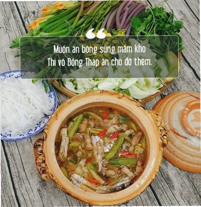 Cảnh quan sông nước Đồng Tháp