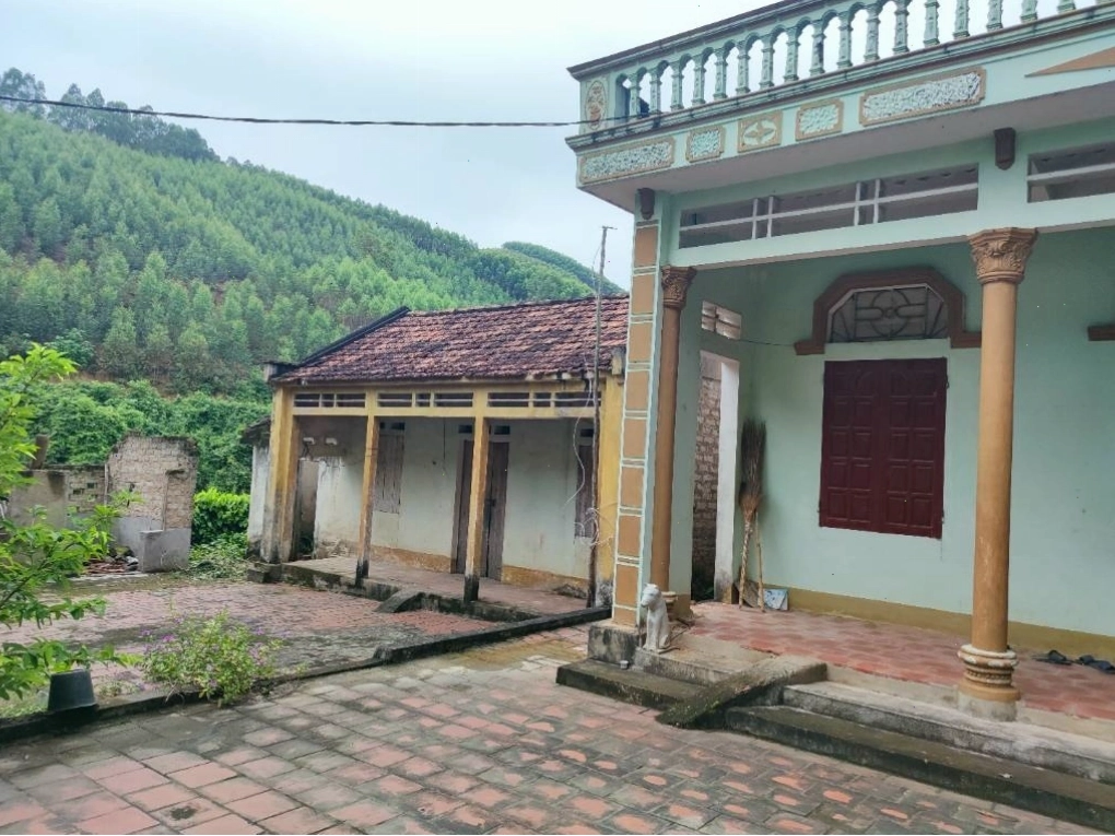 Cảnh quan ven đường bộ tại nông thôn
