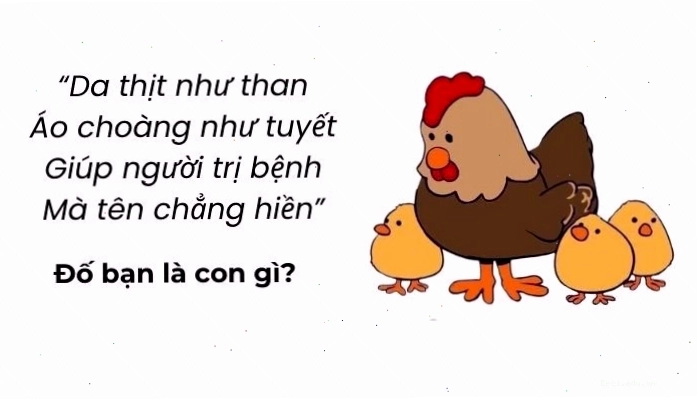 Cặp đôi cùng nhau giải đố vui