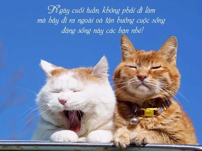 Cặp đôi ngồi cạnh nhau trên ban công ngắm cảnh thành phố