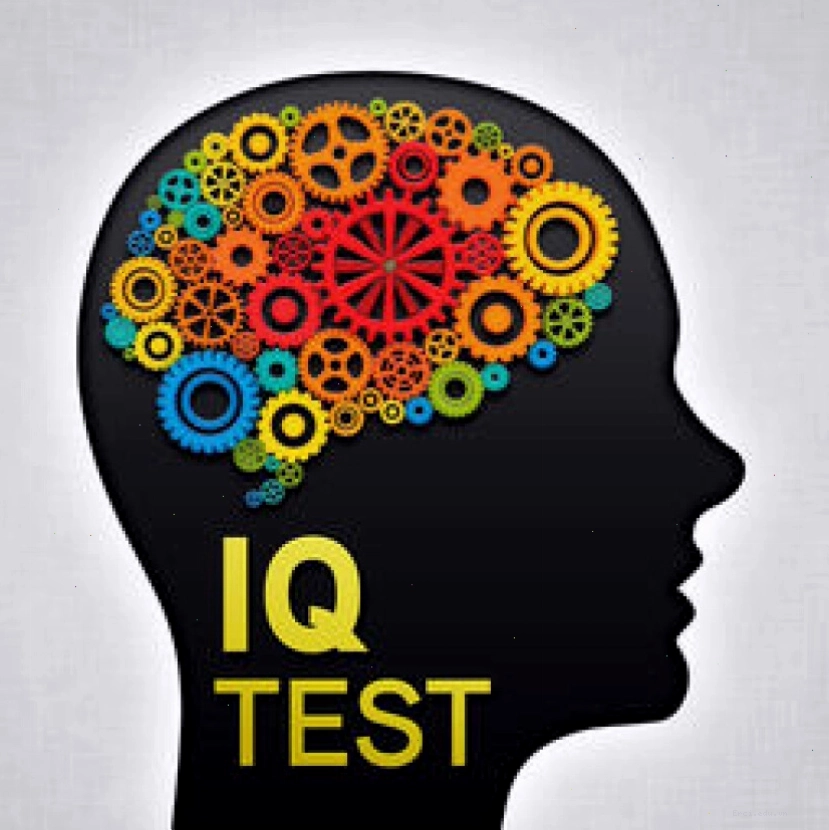 Câu đố IQ hại não thử thách tư duy người chơi