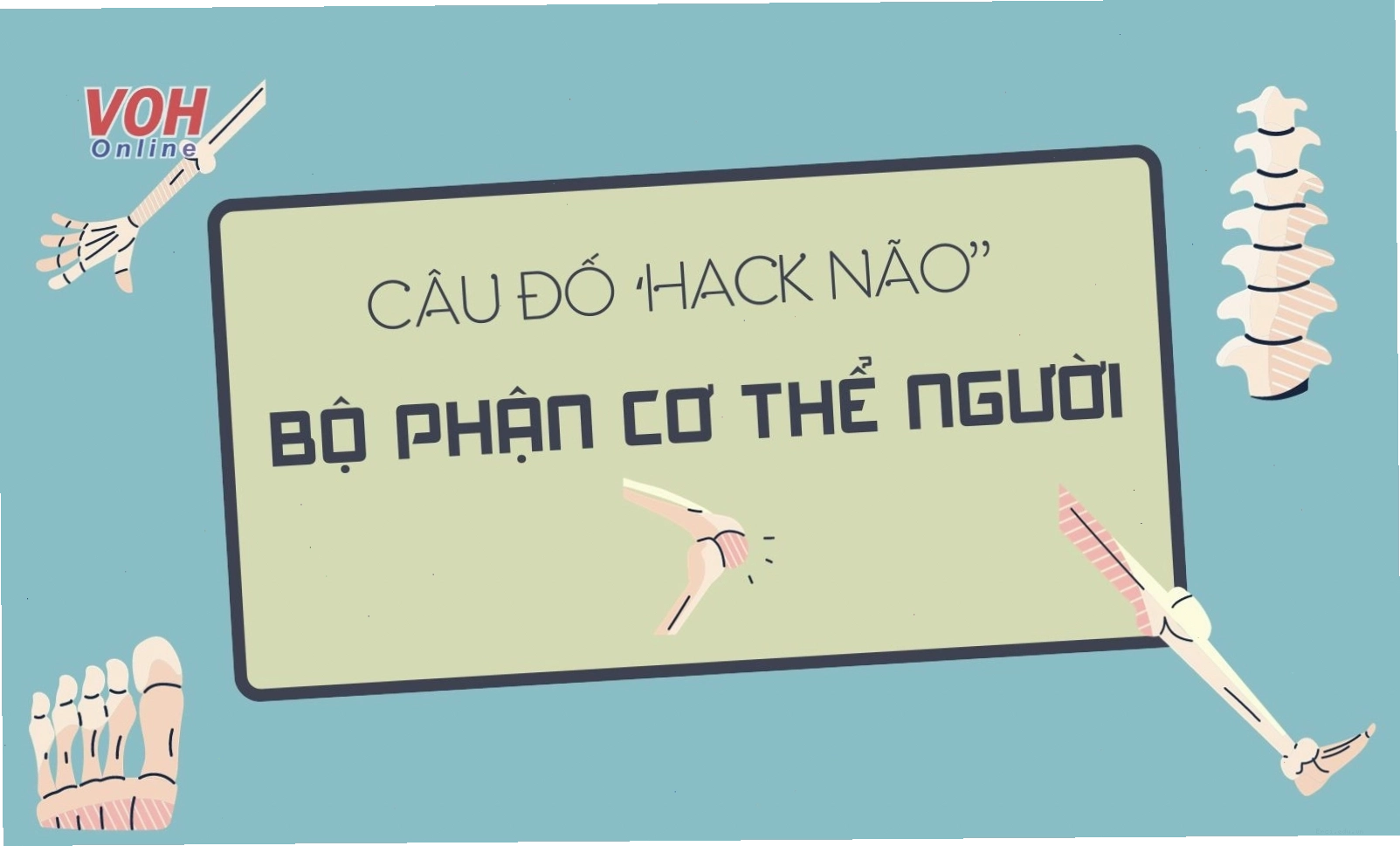 Câu đố về các bộ phận cơ thể người