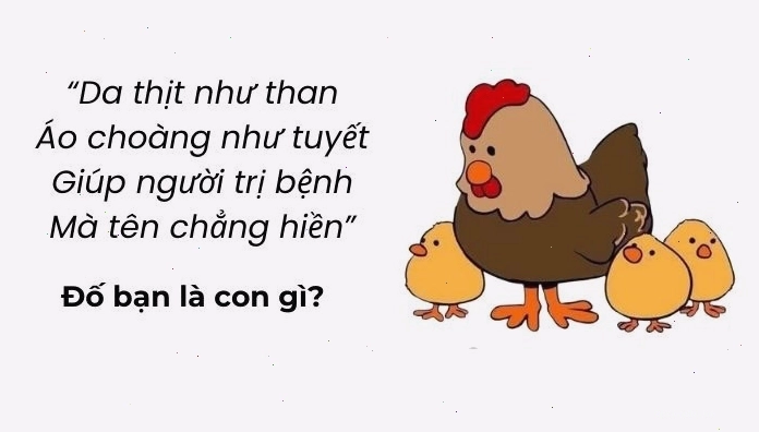 Câu đố vui trí tuệ hack não