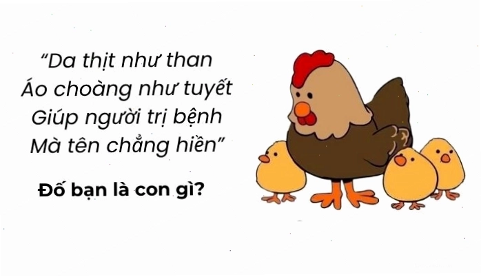 Câu đố vui trí tuệ siêu hack não